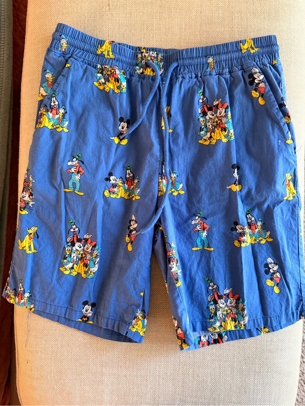 Disney - Blue Mickey & Friends Unisex Casual Shorts - XS